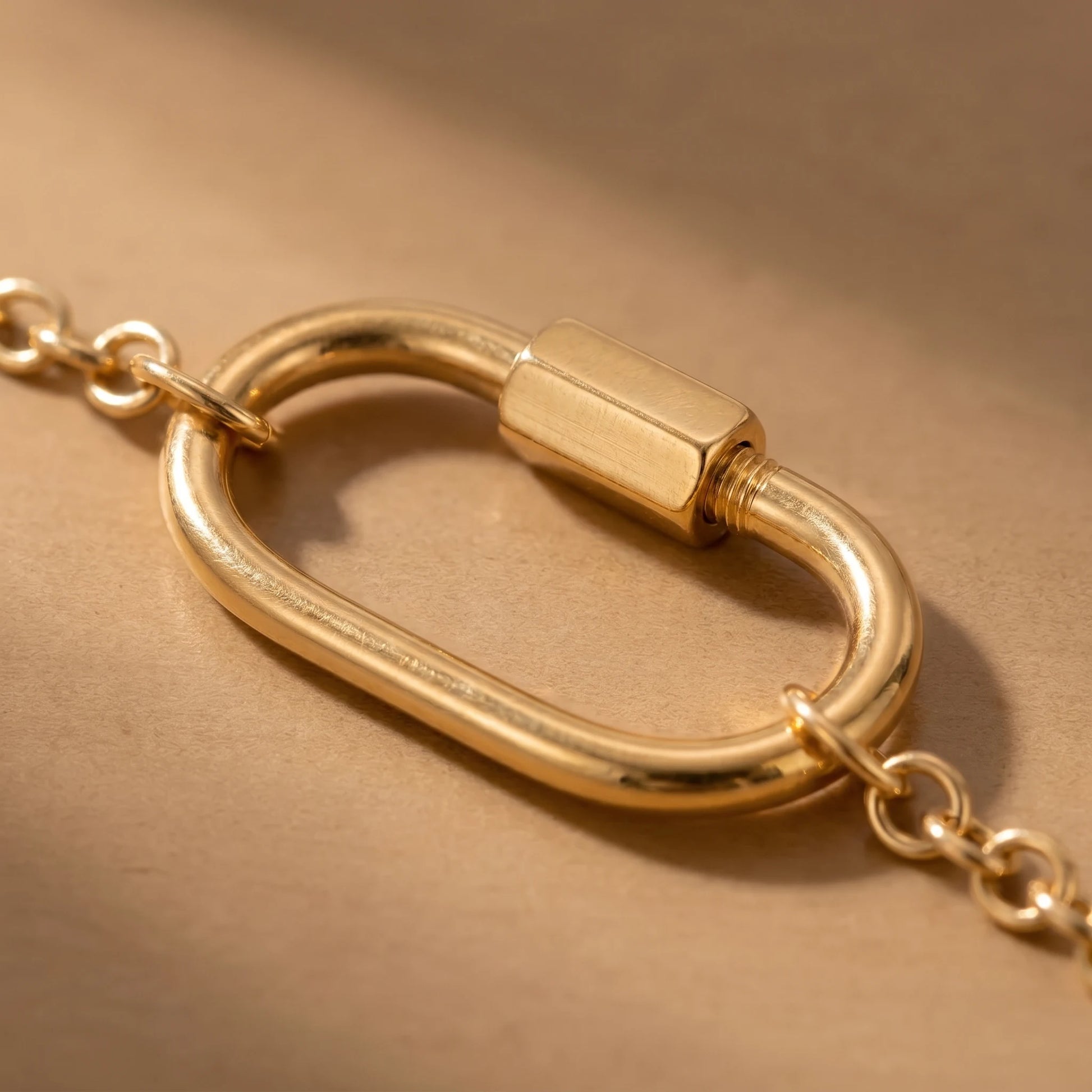 Oval carabiner buckle macro detail in 18K gold plated