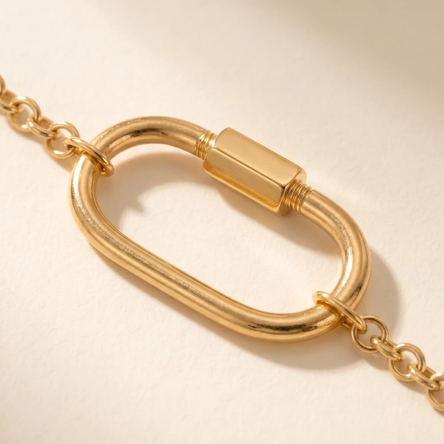 Oval Lock Choker Necklace gold macro