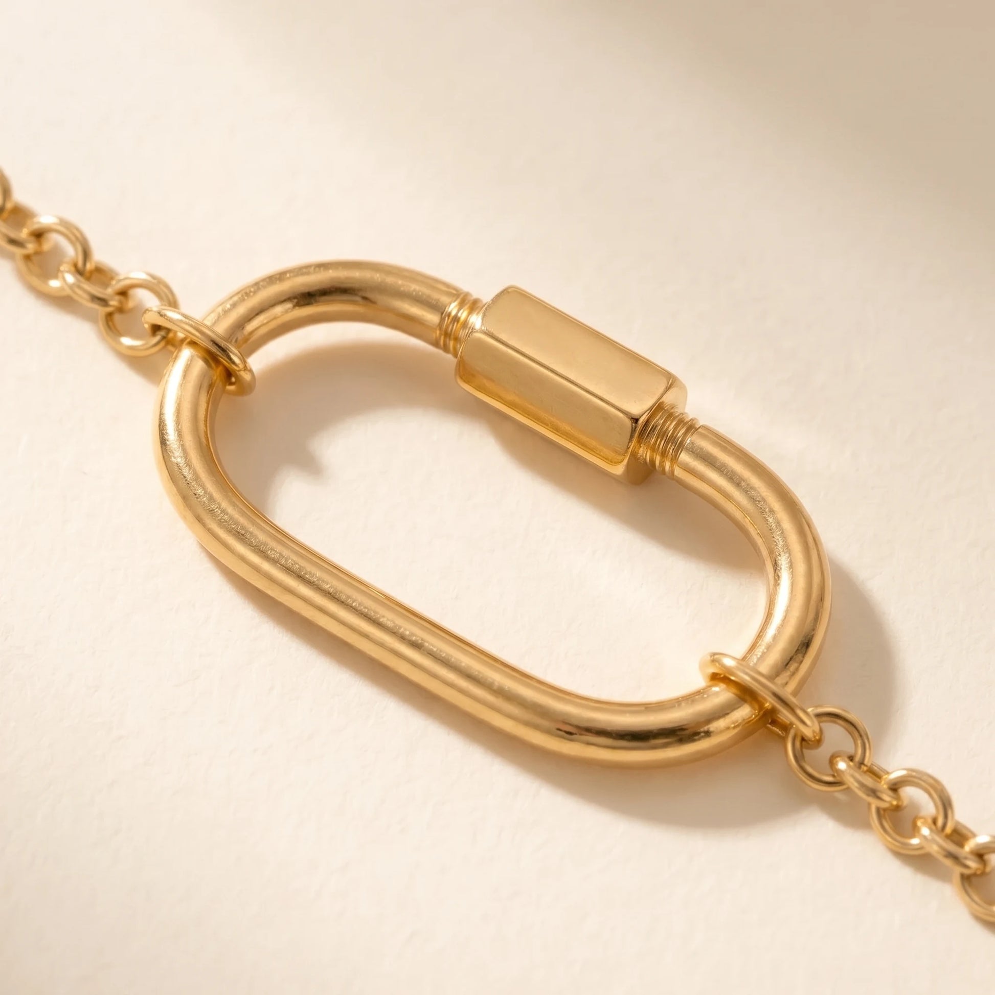 Oval Lock Choker Necklace gold macro