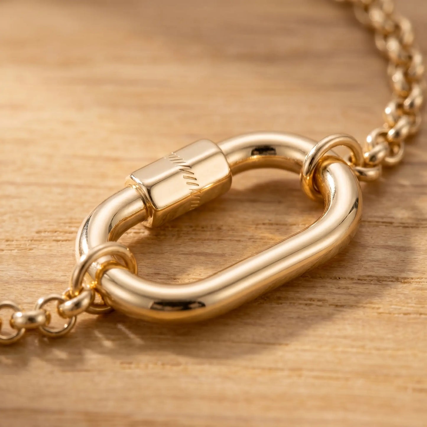 Oval Buckle Charm Bracelet gold macro pendant detail