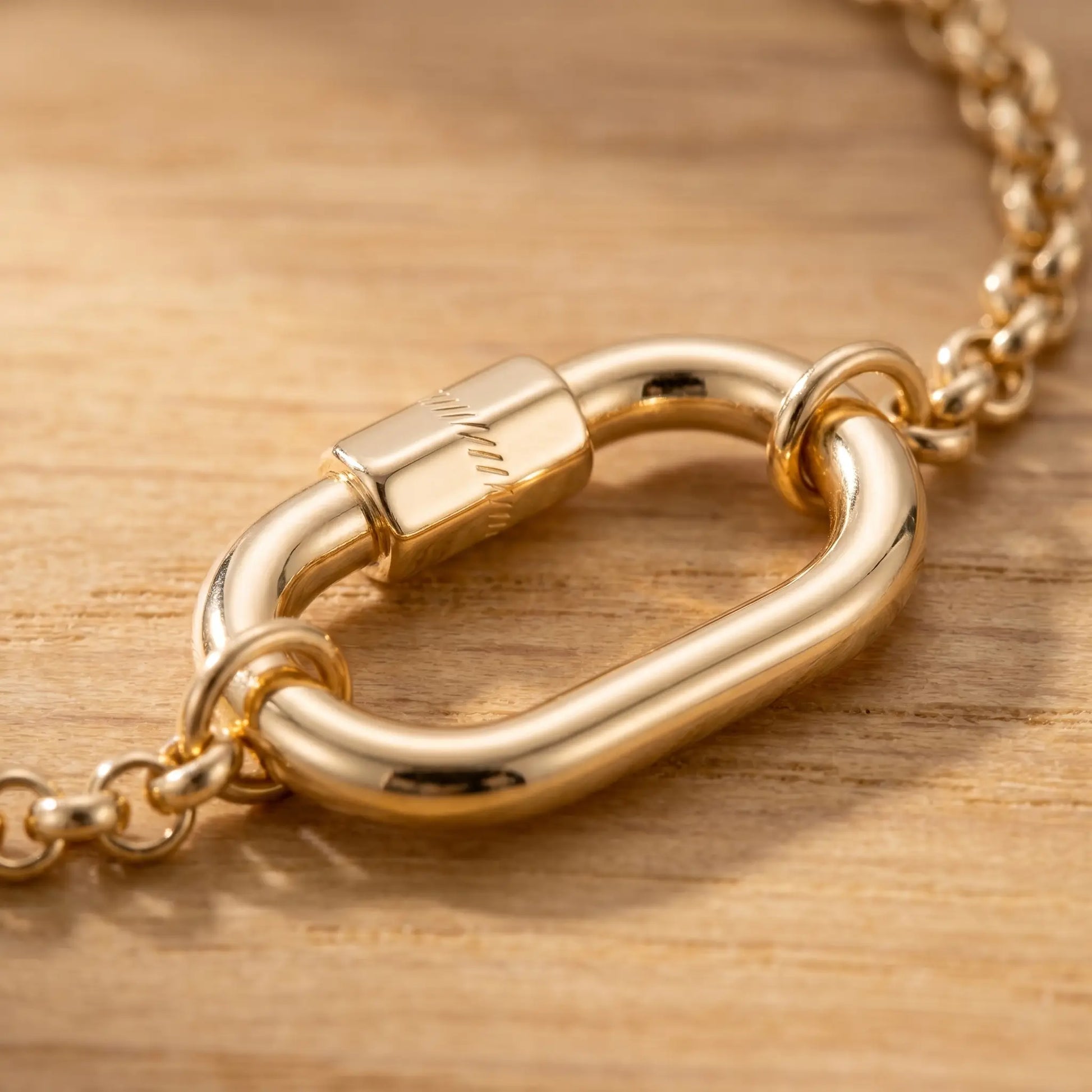 Oval Buckle Charm Bracelet gold macro pendant detail