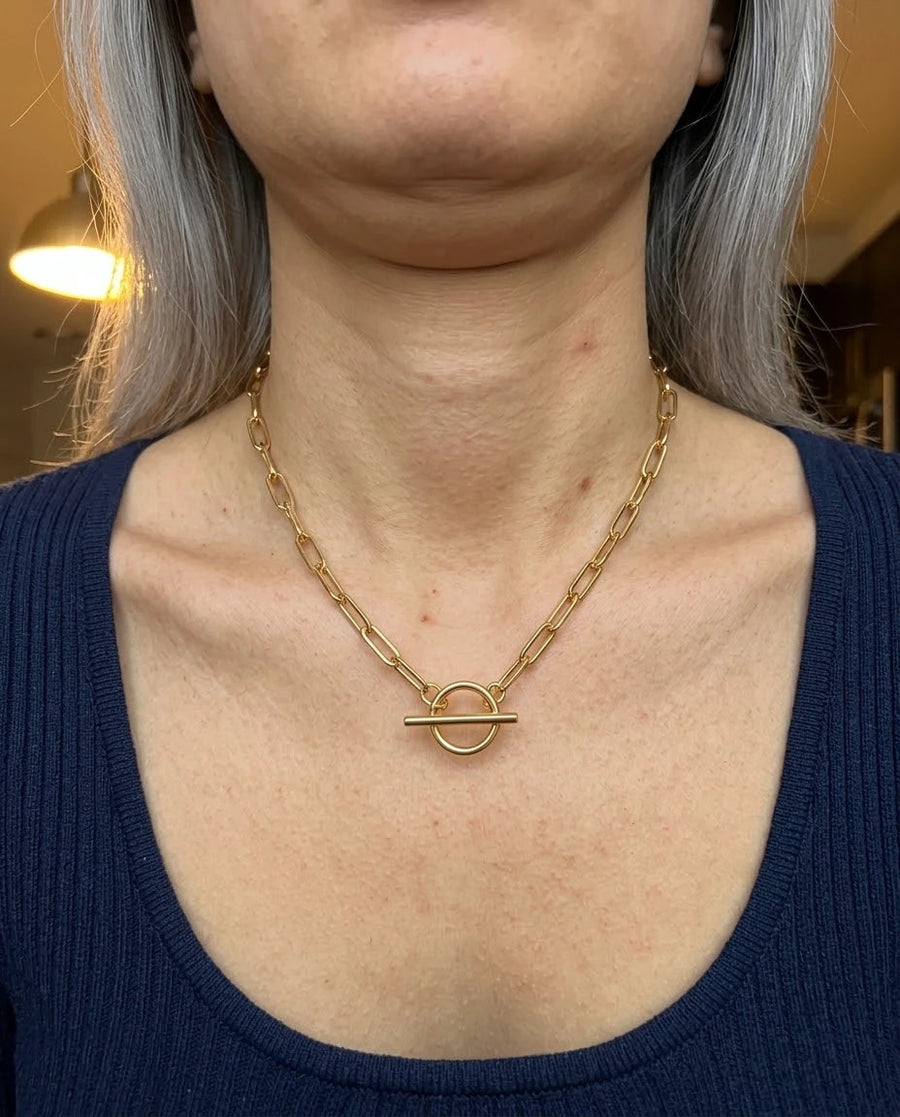 Paperclip Toggle Necklace porté