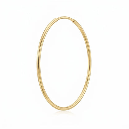 Timeless Gold Hoop Earrings single macro on white